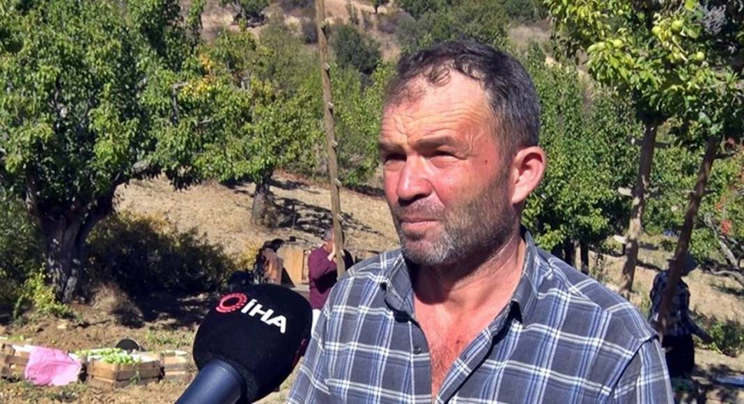 Aylarca depolarda bekletildi: Şimdi tezgahları süsleyecek! Ankara armudunun ilginç yolculuğu şaşırttı 14